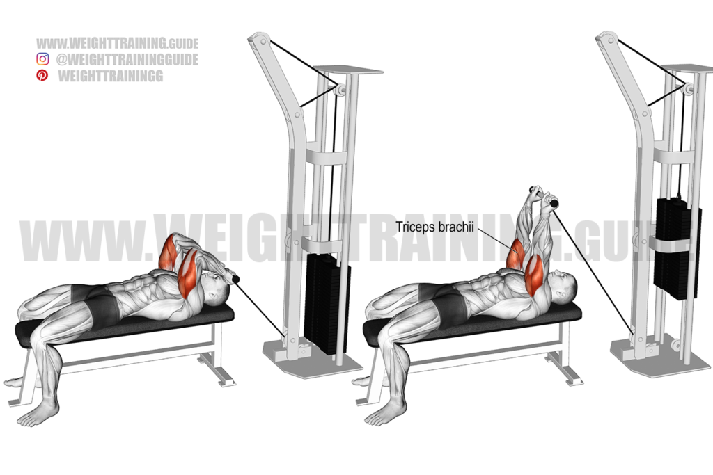 Lying leg curl exercise instructions and video | Weight Training Guide