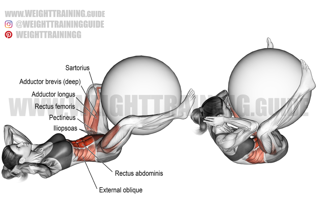 Crunch with stability ball leg raise exercise instructions and video
