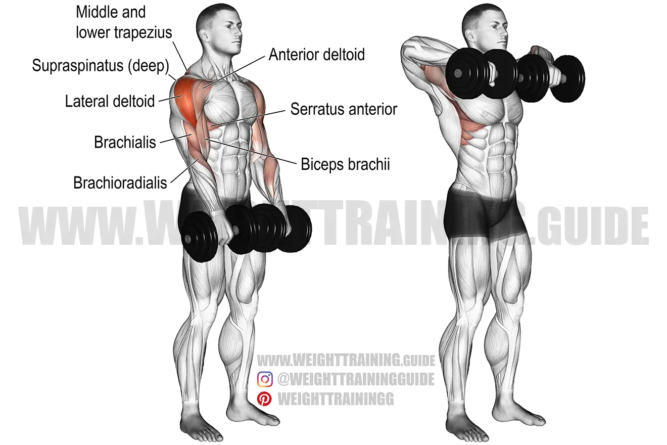 Dumbbell wide-grip upright row exercise