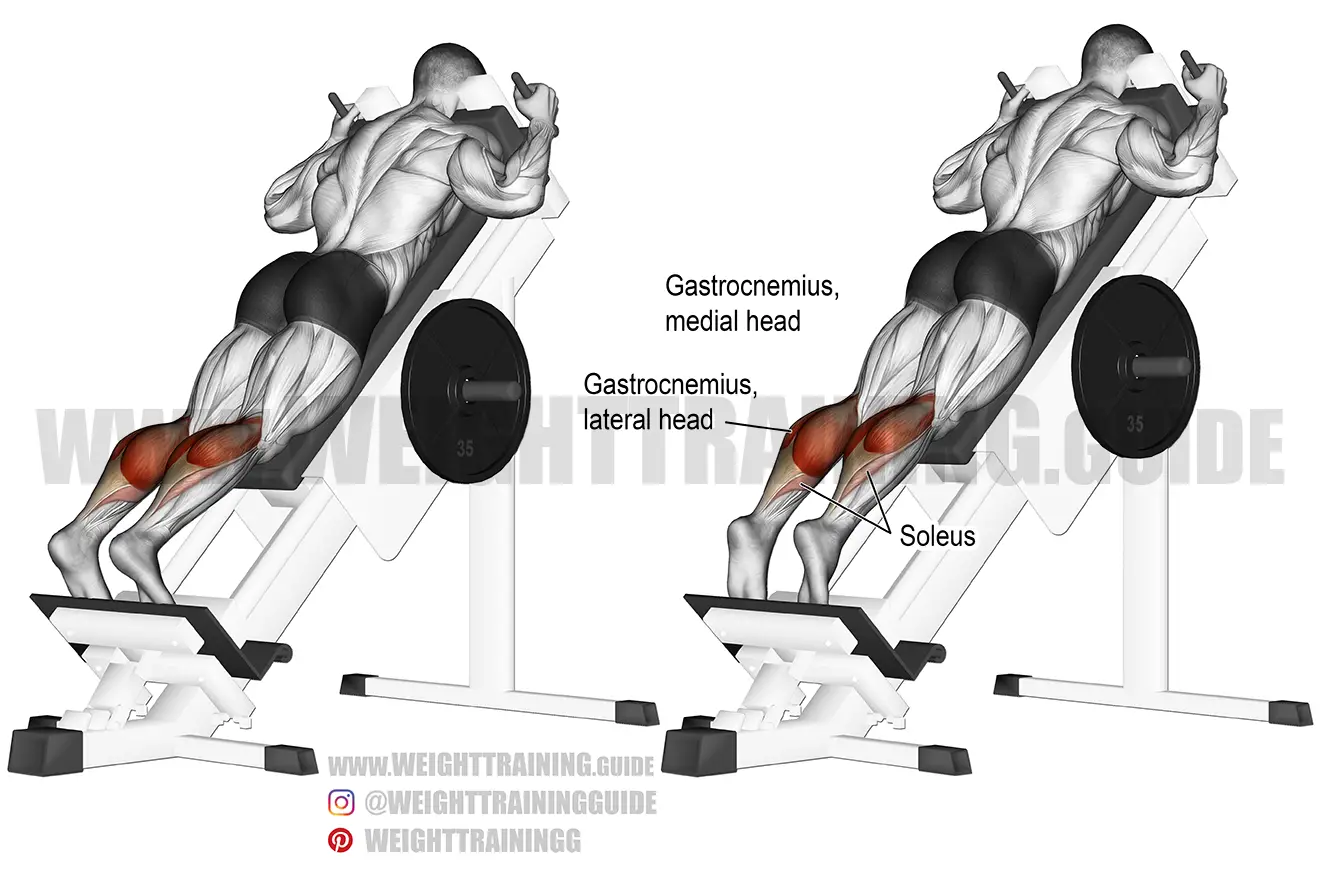 Squat Ramp calf Raise Muscle Training Gym Fitness Equipment Machine 