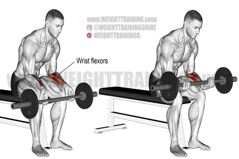 Seated barbell wrist curl