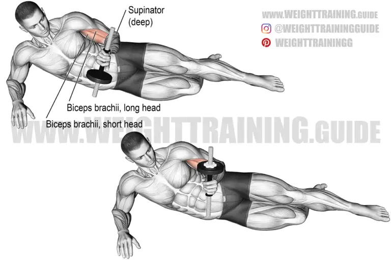Lying dumbbell supination
