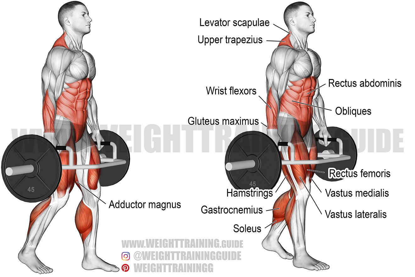 Trap bar farmer s walk instructions and videos Weight Training Guide