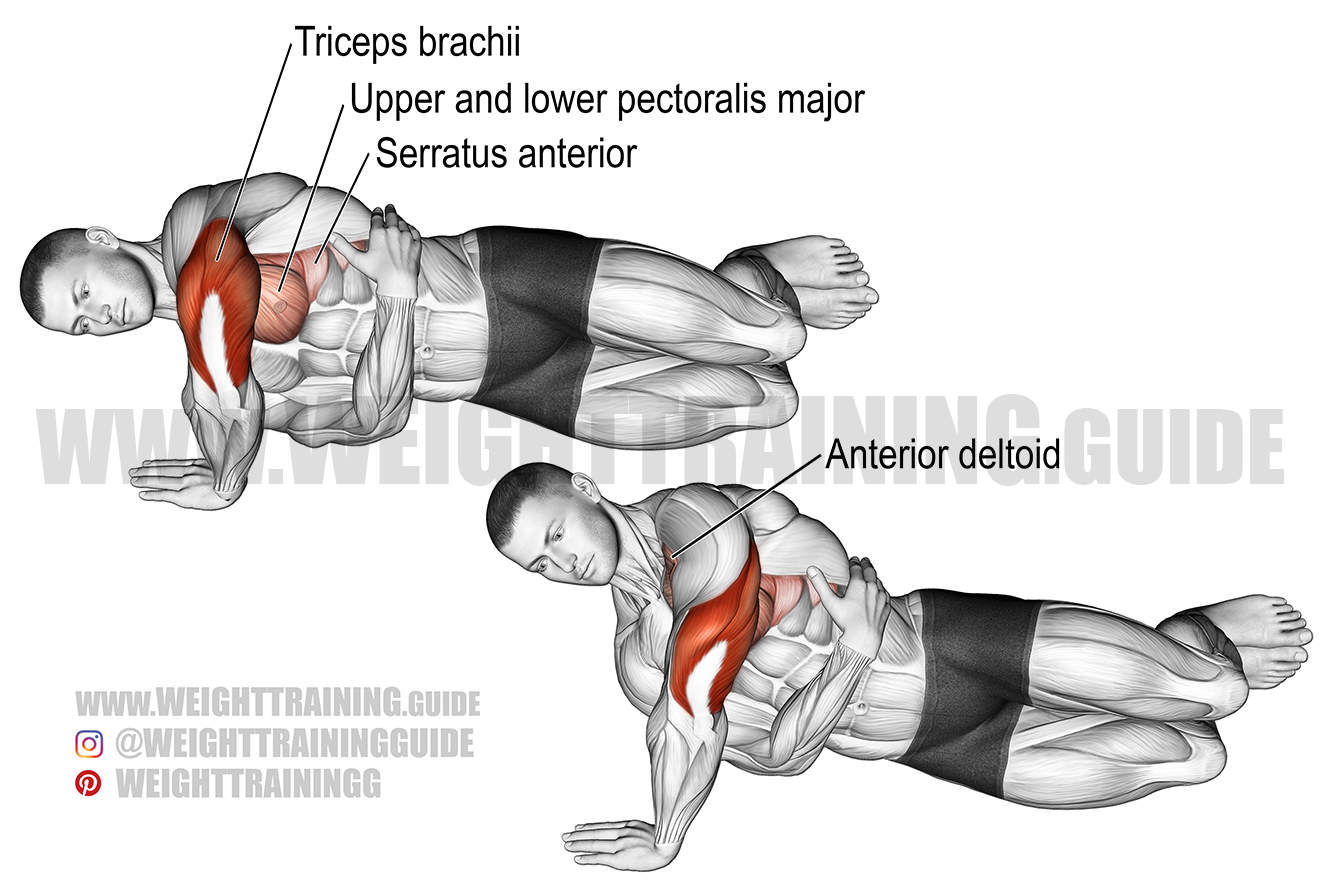 Side Push up Exercise Instructions And Video Weight Training Guide Side Push up Exercise Instructions And Video Weight Training Guide