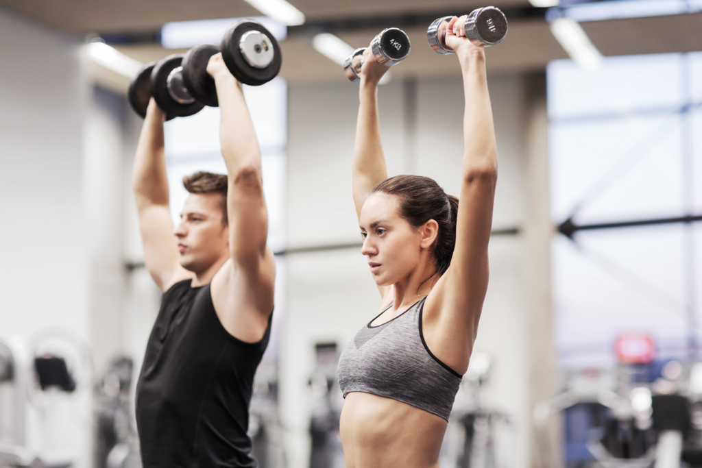 Weight Training Photo Example Learn muscle names | Weight Training Guide