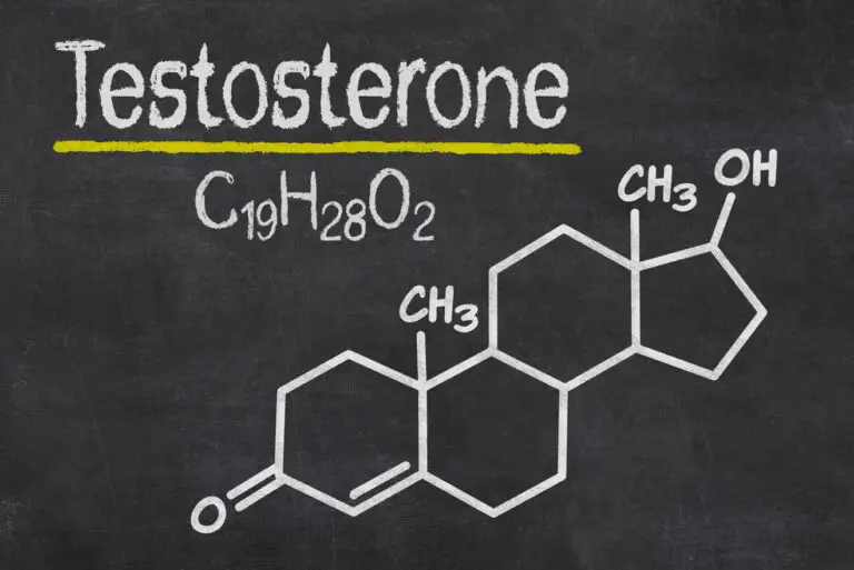 How to naturally increase testosterone