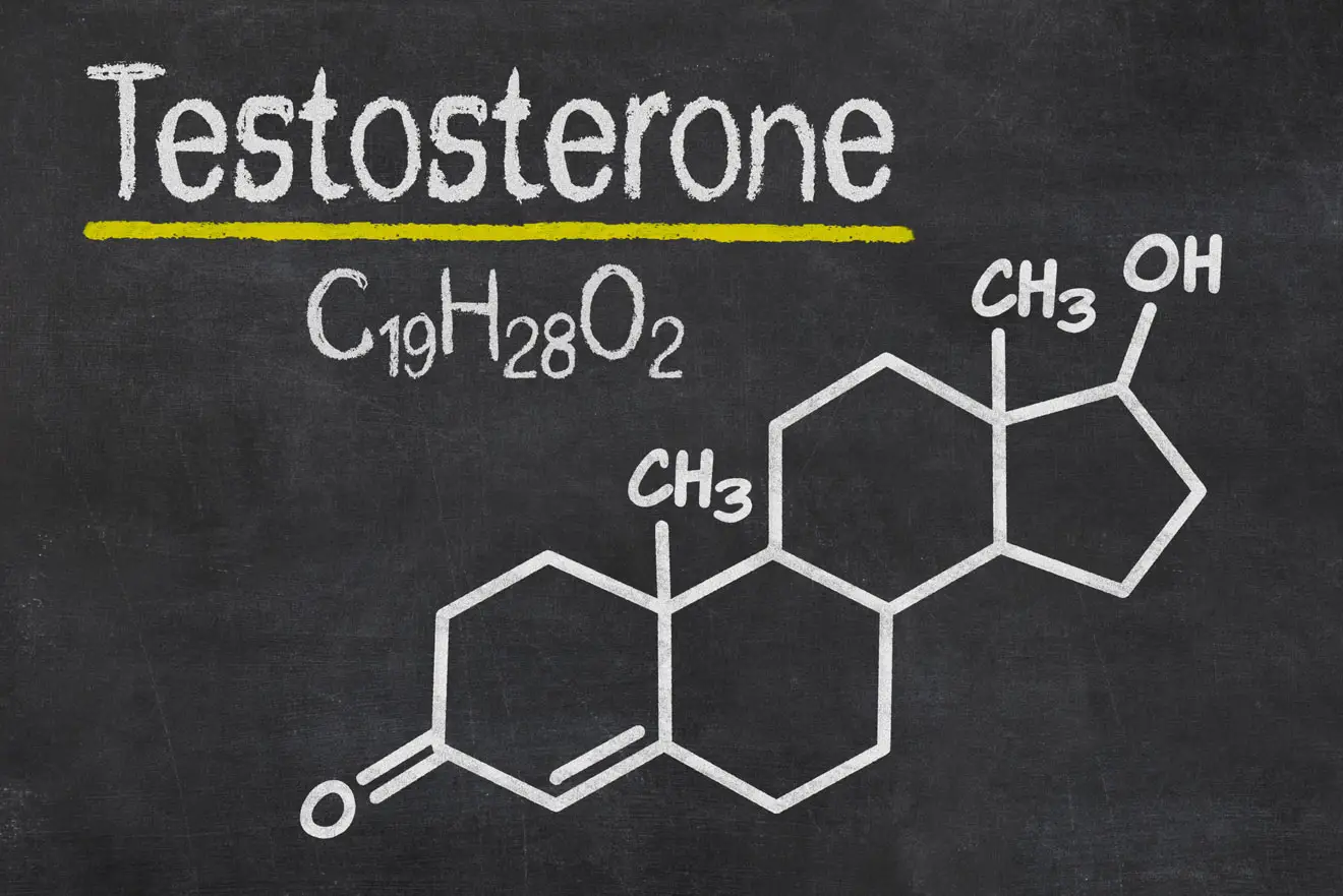 Chemical formula of testosterone