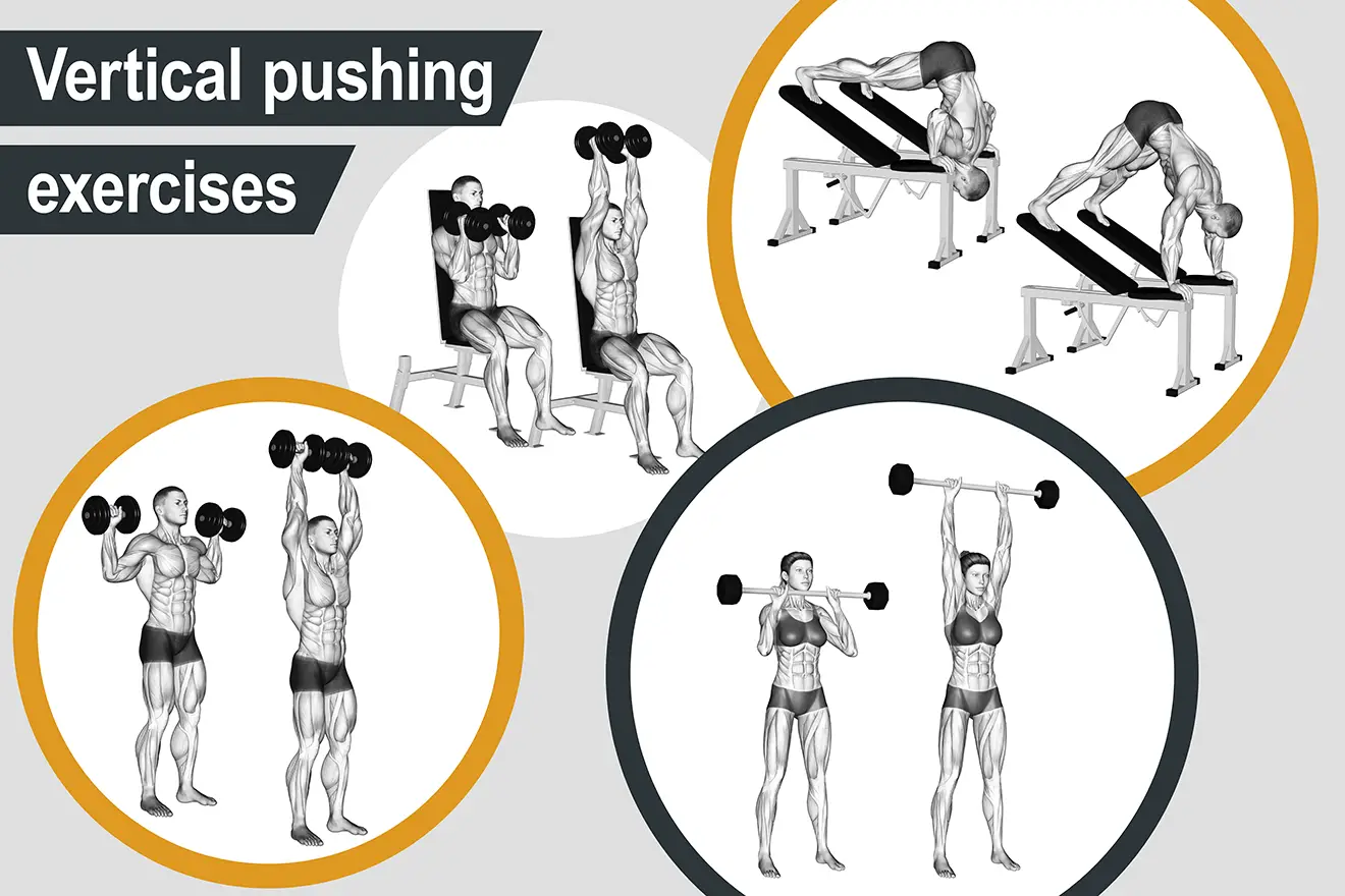Vertical pushing exercises