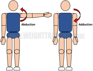Joint articulations and the three planes of motion - Muscle Activation ...