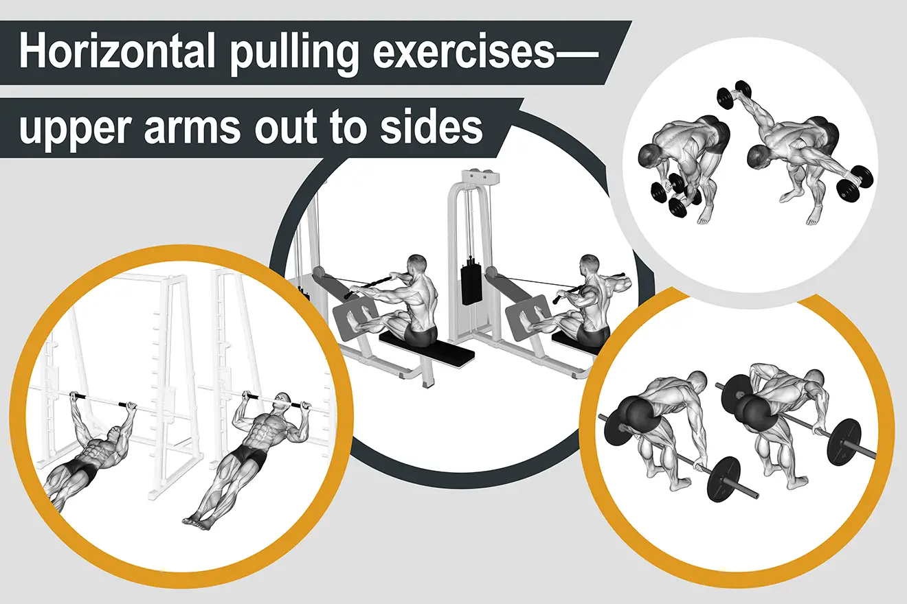 Horizontal pulling exercises - upper arms out to sides