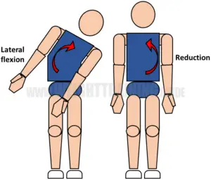 Joint articulations and the three planes of motion - Muscle Activation ...