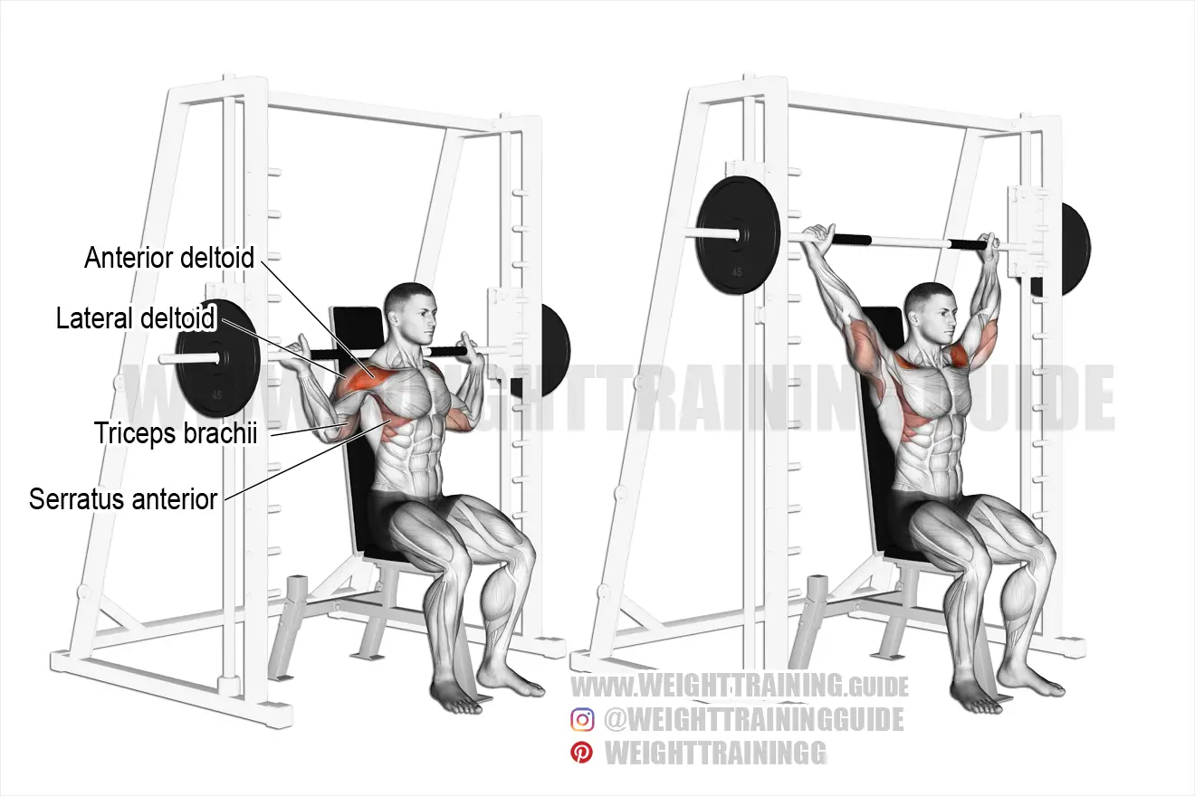 Seated Smith machine behind-the-neck shoulder press exercise