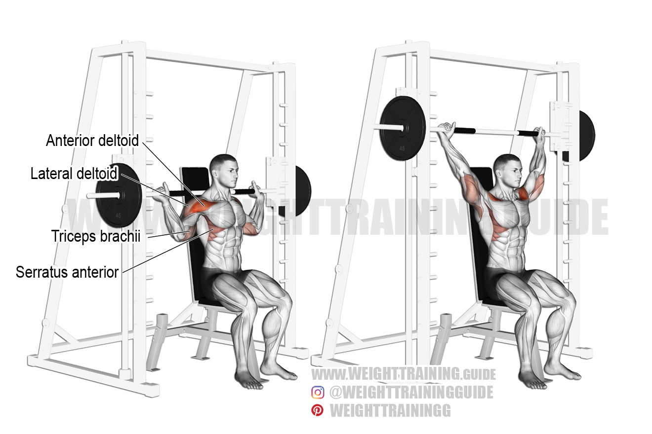 Seated Smith Machine Behind the neck Shoulder Press Instructions