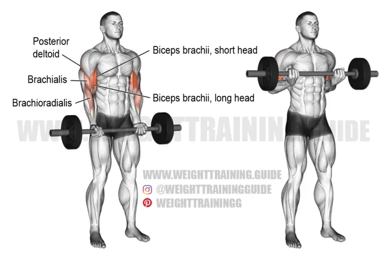 Barbell drag curl