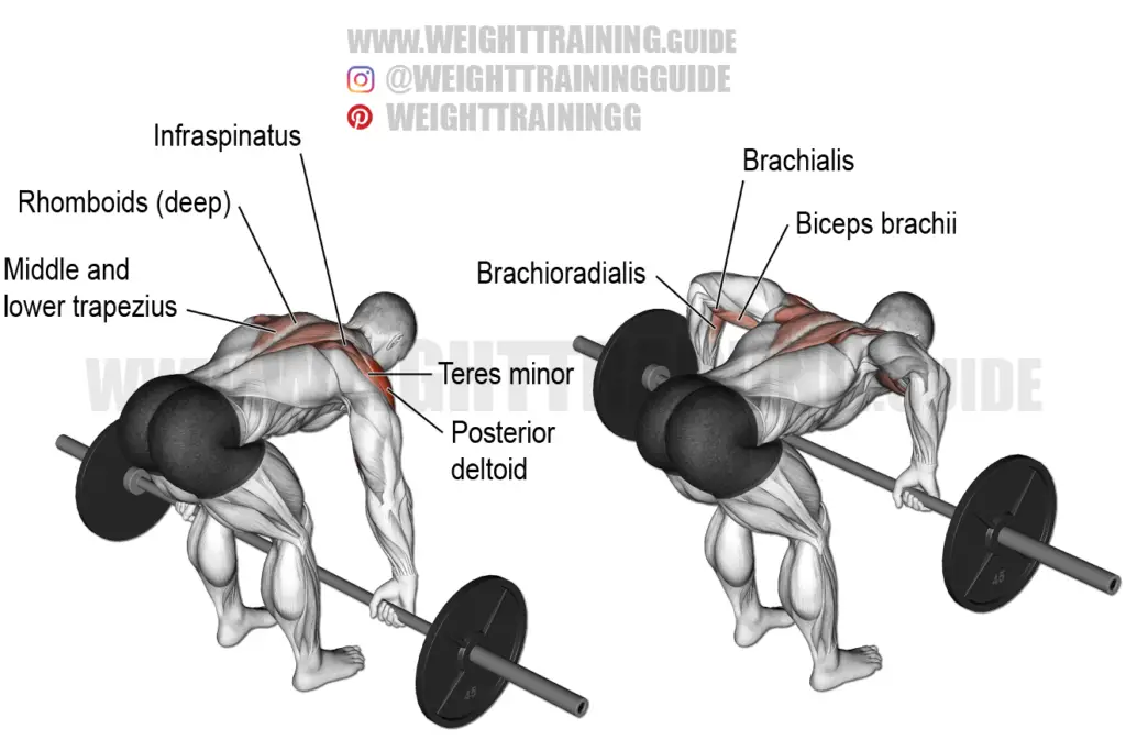 Lying barbell triceps extension exercise instructions and video