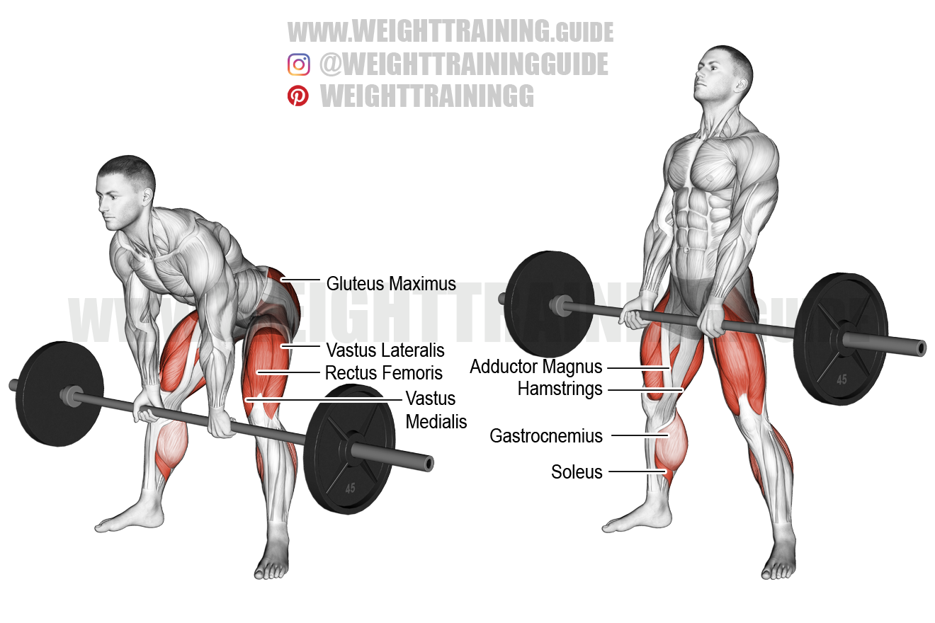 Barbell sumo deadlift instructions and video