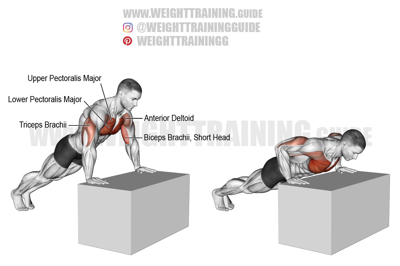Incline Push up On A Box Instructions And Video WeightTraining guide