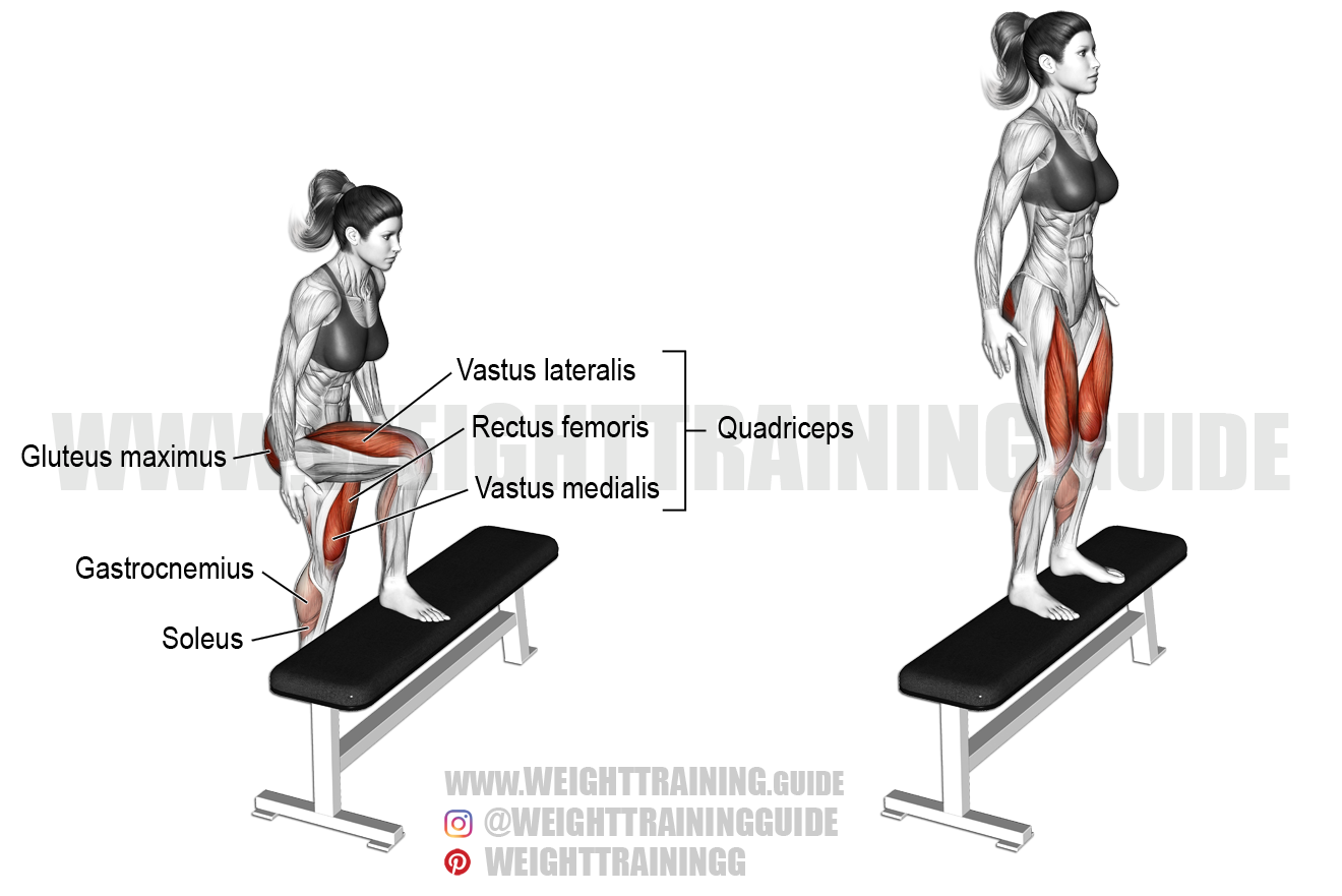 Step up online bench