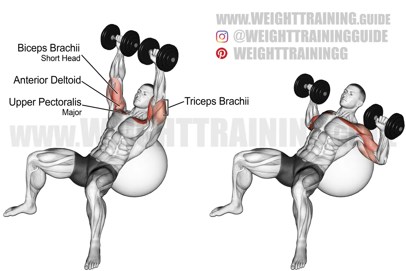 Incline dumbbell press on a stability ball exercise