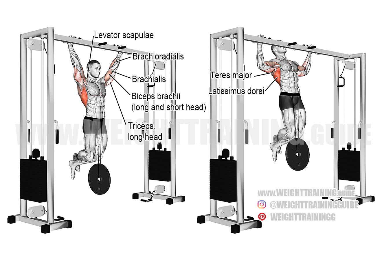 Weighted pull-up exercise