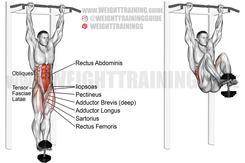 Weighted hanging leg and hip raise exercise instructions and video