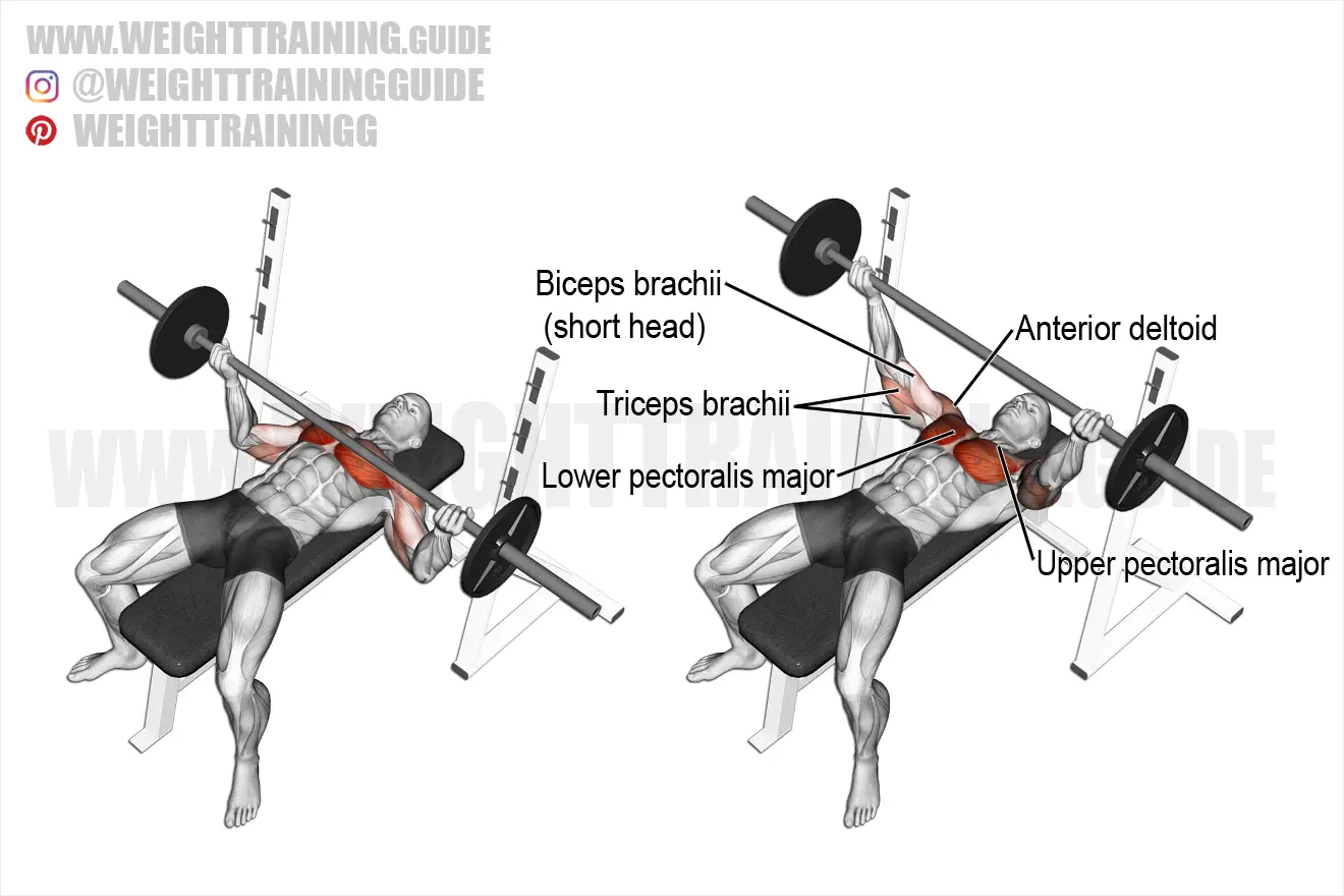 Wide reverse-grip barbell bench press exercise