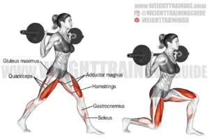 barbell Guides - WeightTraining.guide