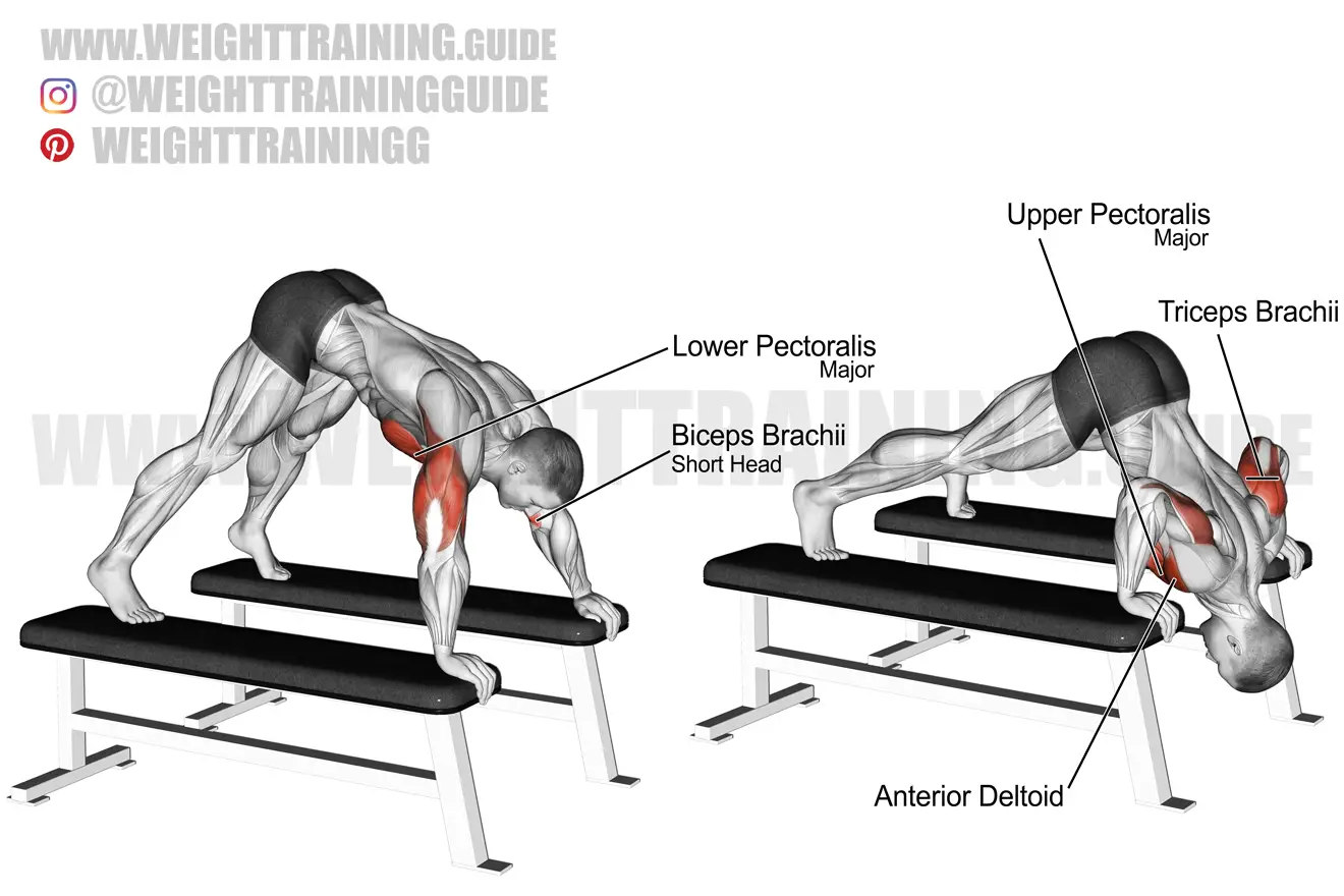 Pike push-up exercise