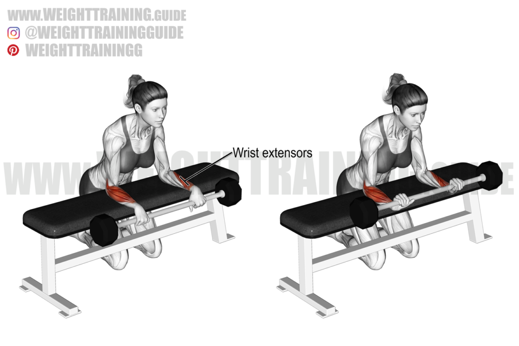 Incline reverse-grip dumbbell bench press exercise instructions and video