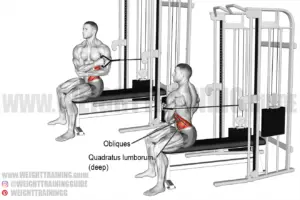 Seated cable cross-arm twist instructions and video | weighttraining.guide