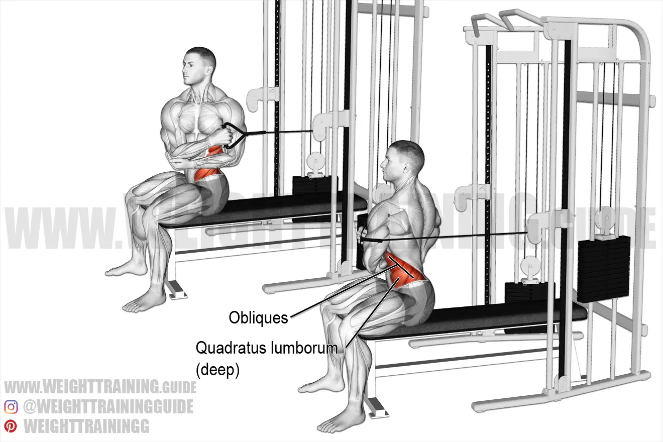 Seated cable cross-arm twist exercise