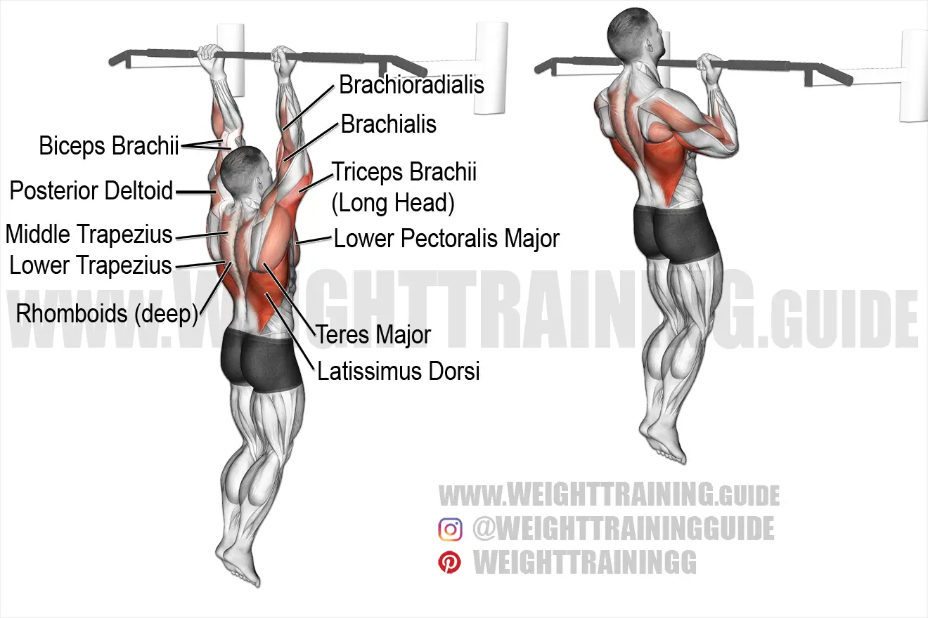 Perception Preparation Andes Chin-up exercise instructions and video | weighttraining.guide