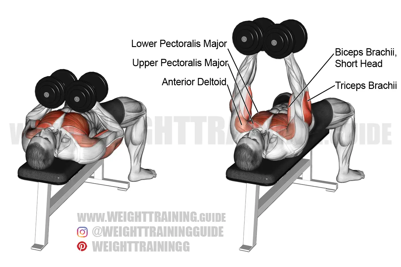 Dumbbell squeeze bench press exercise