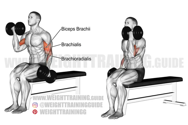 Seated alternating dumbbell curl