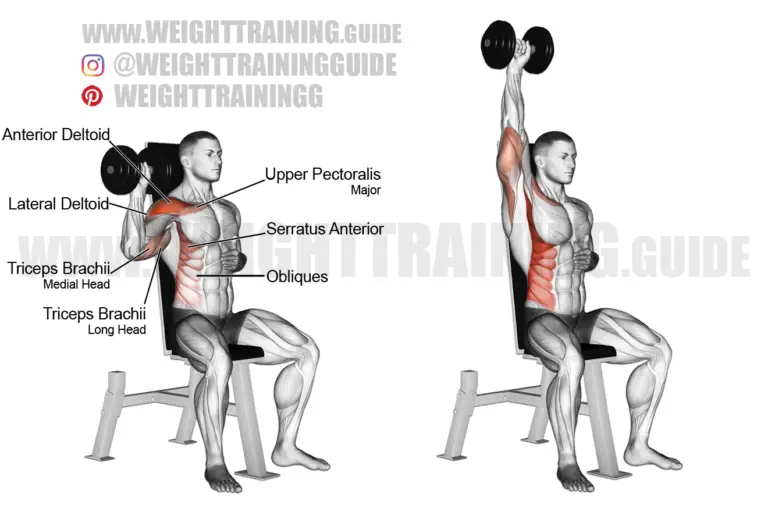 Seated dumbbell one-arm shoulder press