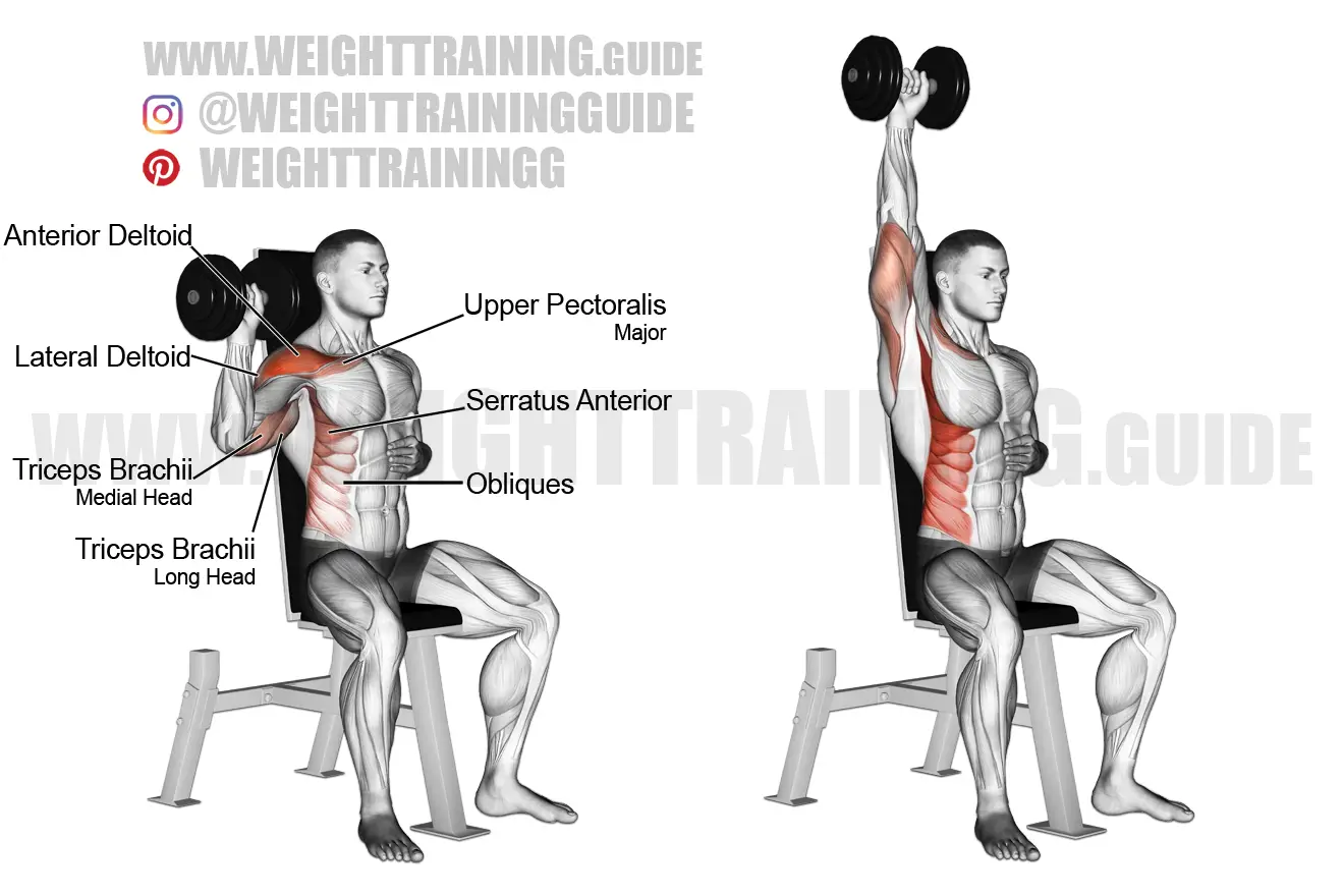One arm DB shoulder workout for imbalances by weighttraining.guide