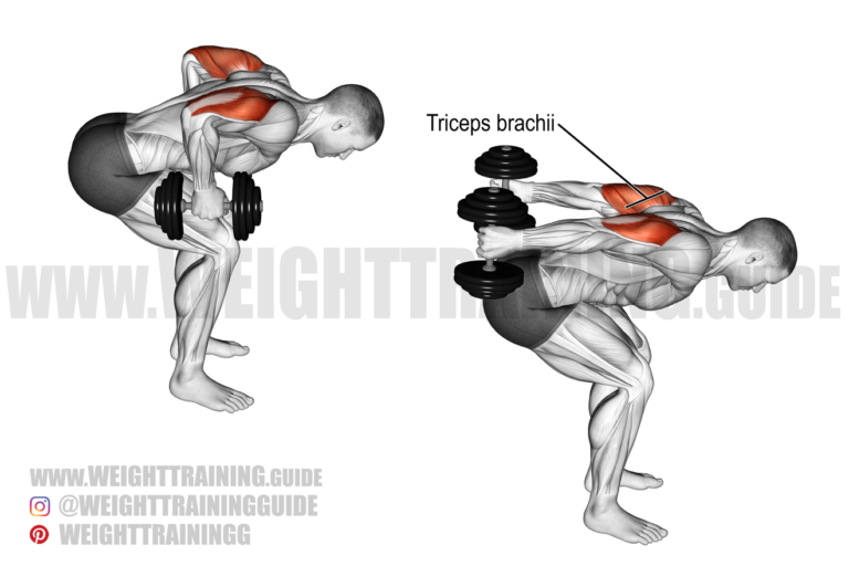 Standing two-arm dumbbell kickback exercise
