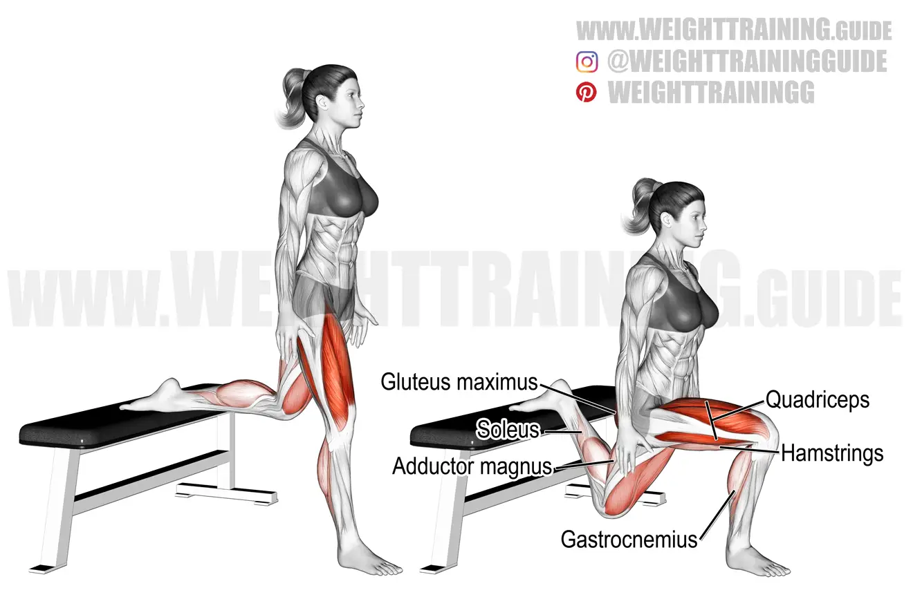 Bulgarian split squat exercise
