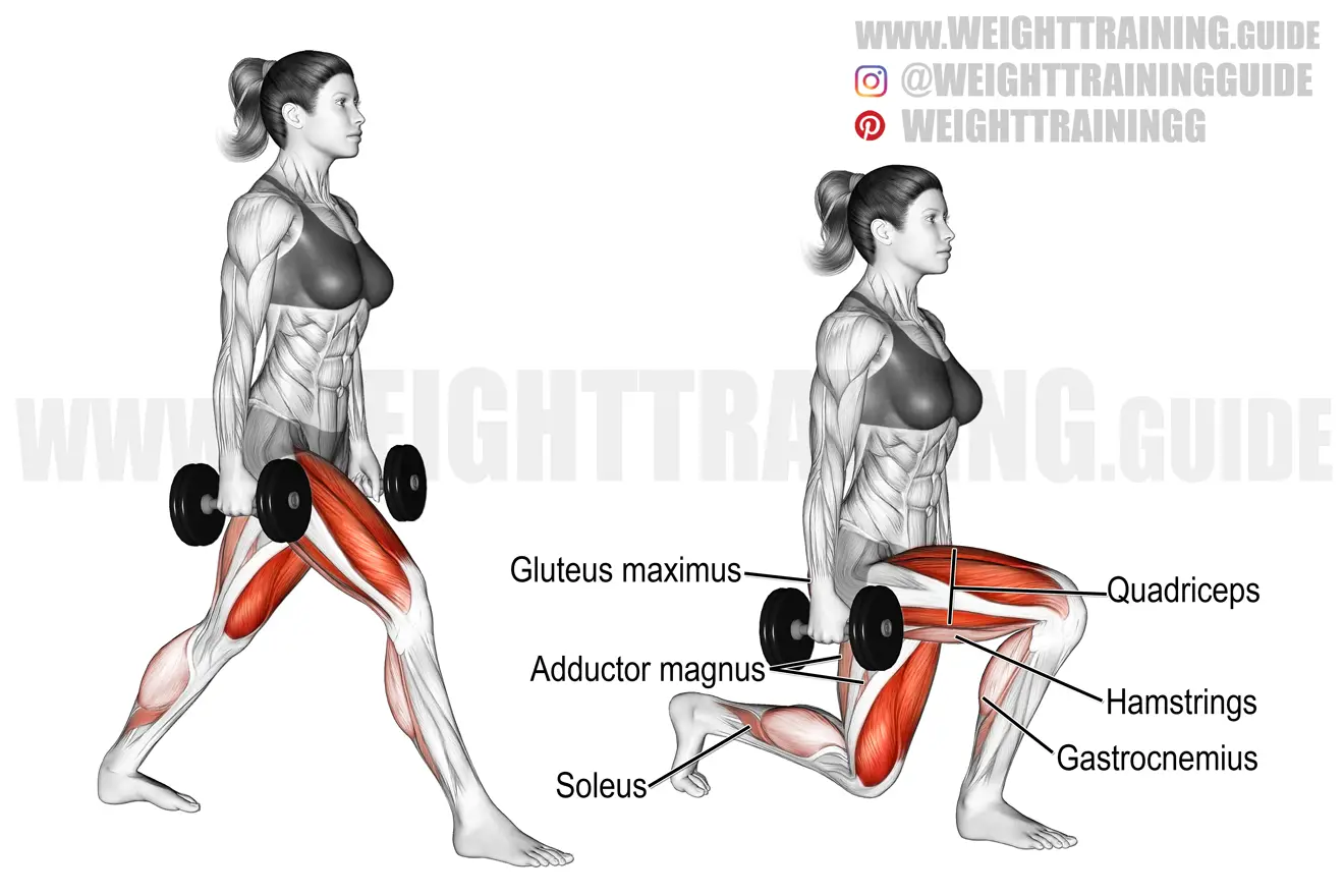 Dumbbell split squat exercise