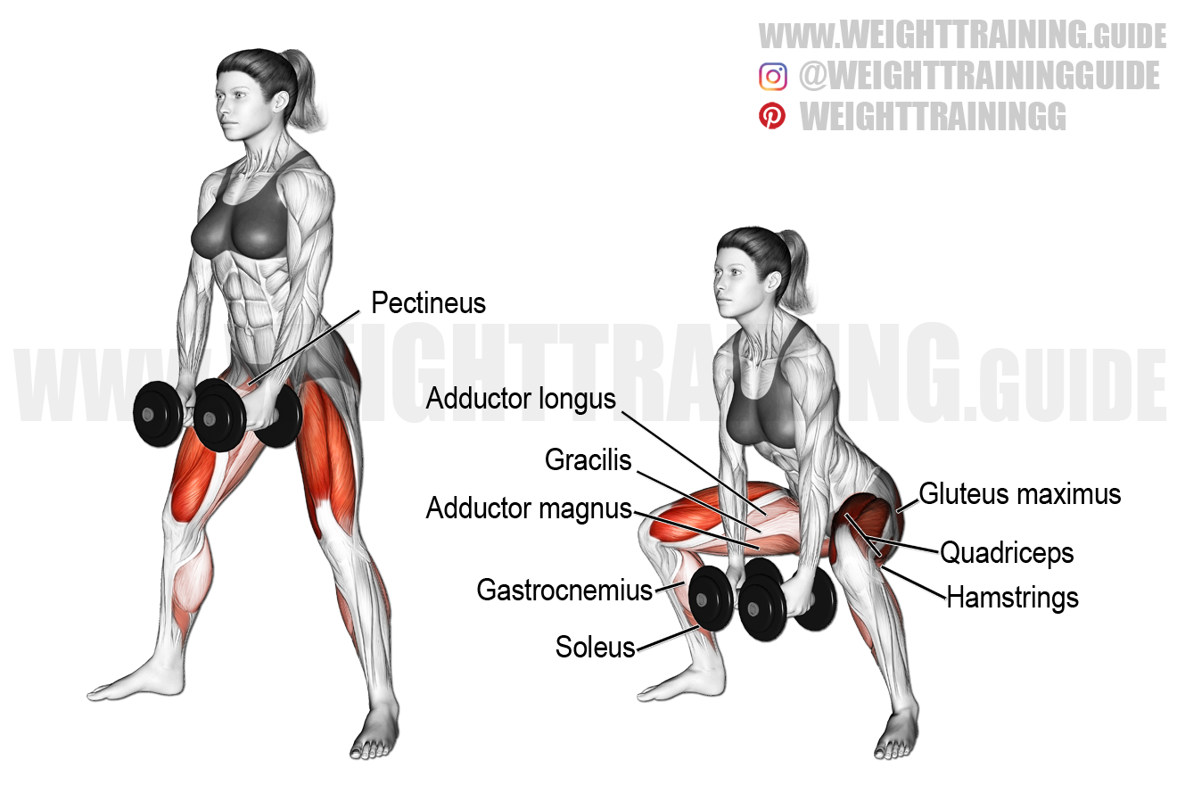 Dumbbell sumo squat version 2 exercise instructions and video