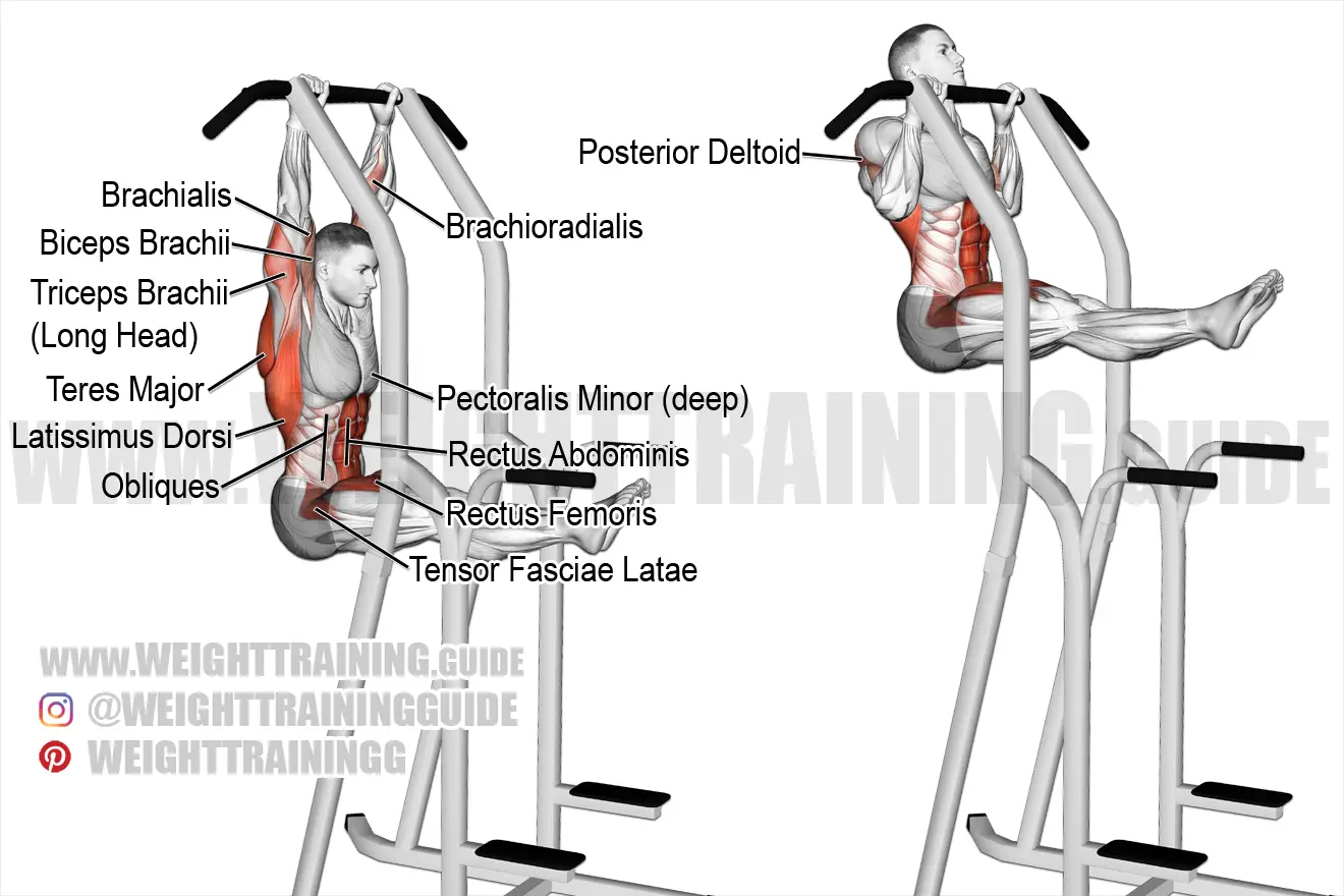 L-sit pull-up exercise