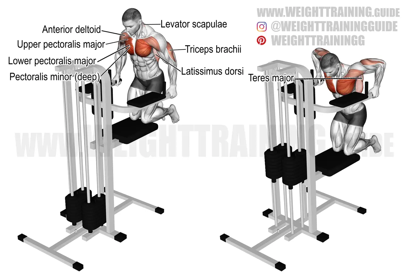 Machine-assisted chest dip exercise