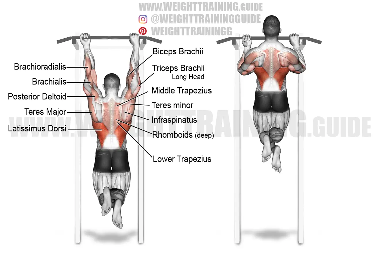 Mixed-grip pull-up exercise