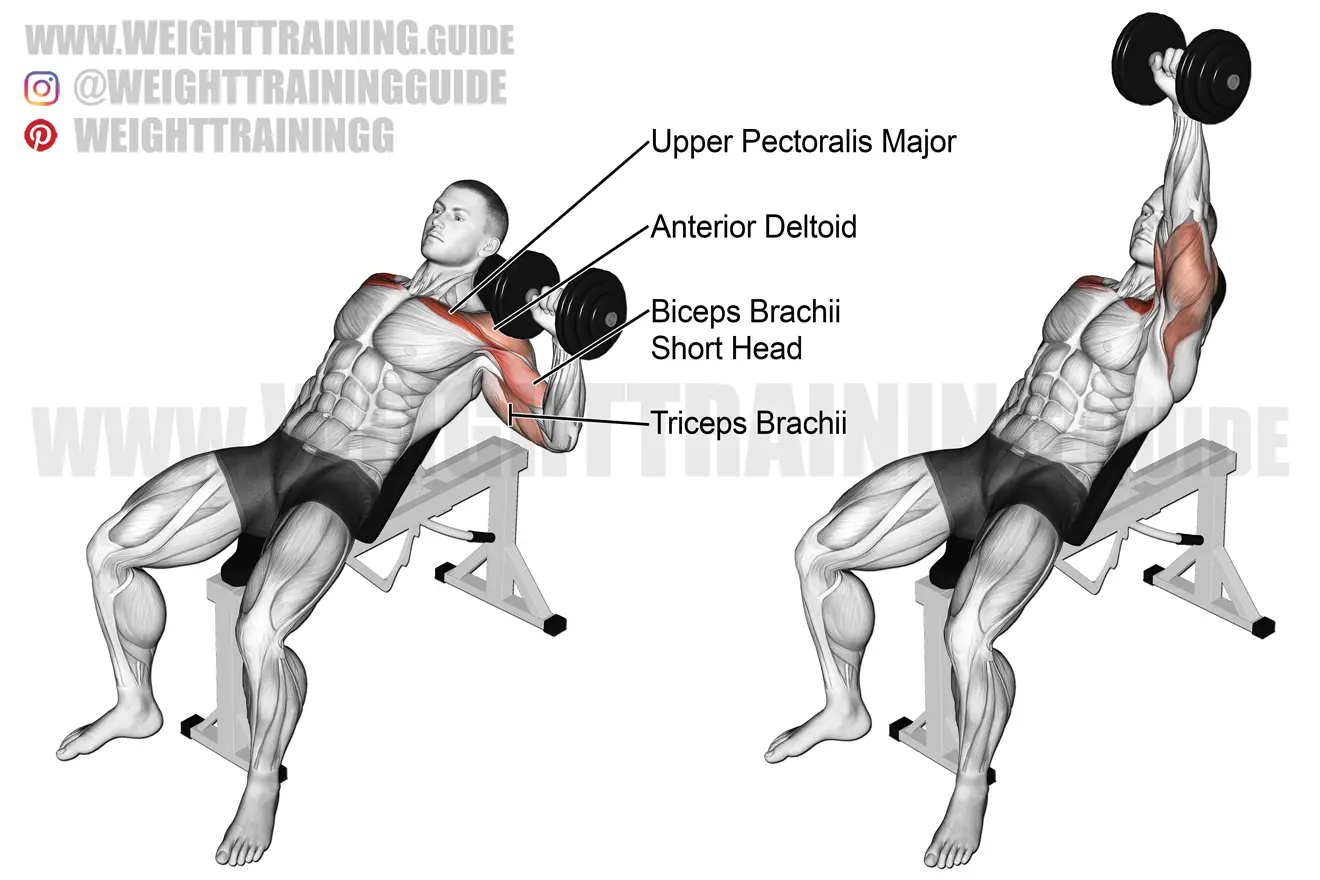 Incline one-arm dumbbell bench press exercise