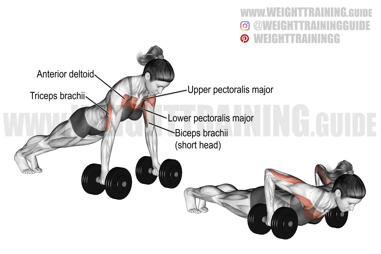 Dumbbell deficit push-up exercise