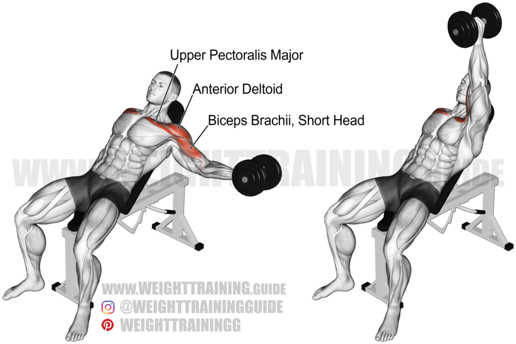 Leaning dumbbell lateral raise exercise instructions and videos