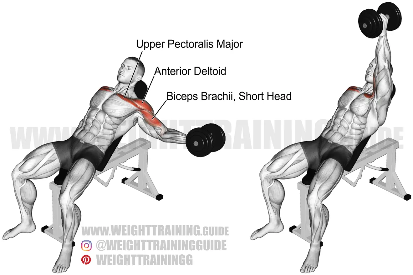 Incline one-arm dumbbell fly exercise