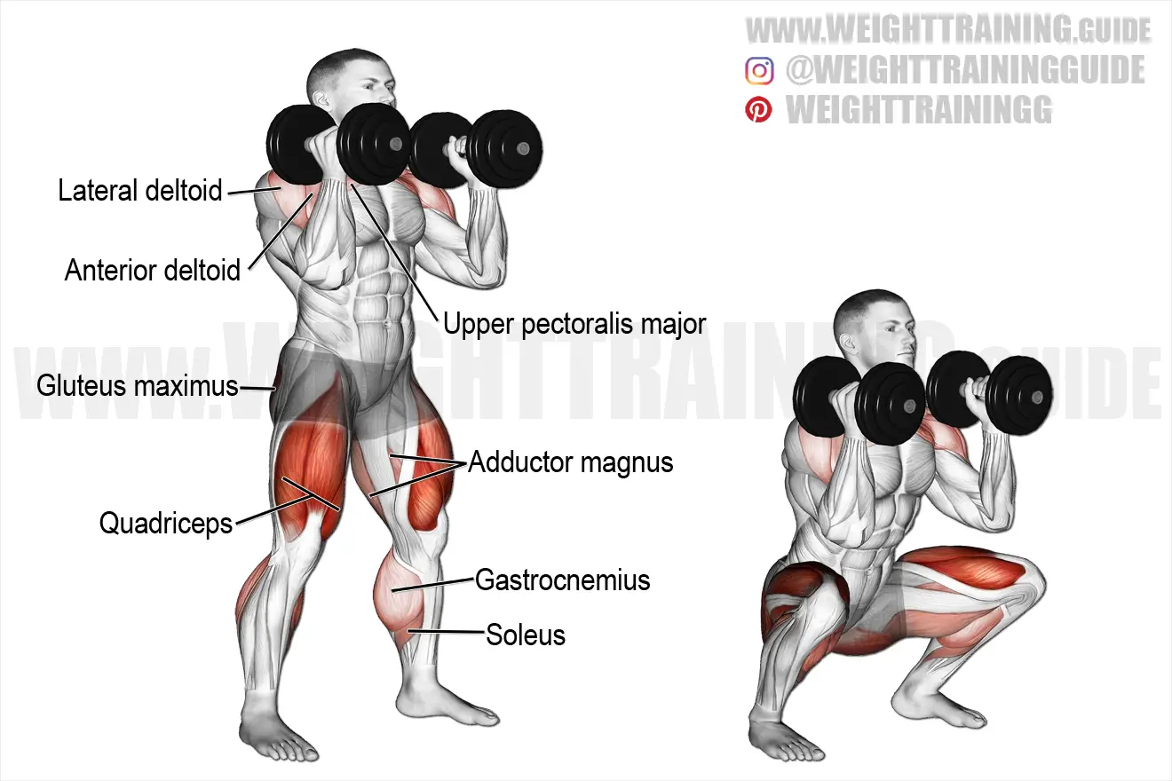 Dumbbell front squat exercise