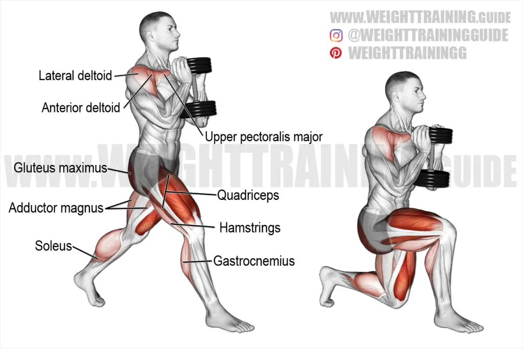 Dumbbell reverse curl instructions and video | Weight Training Guide