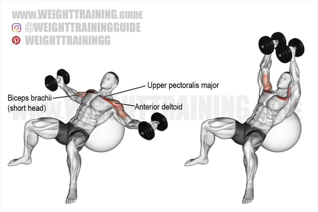 Incline reverse-grip dumbbell bench press exercise instructions and video